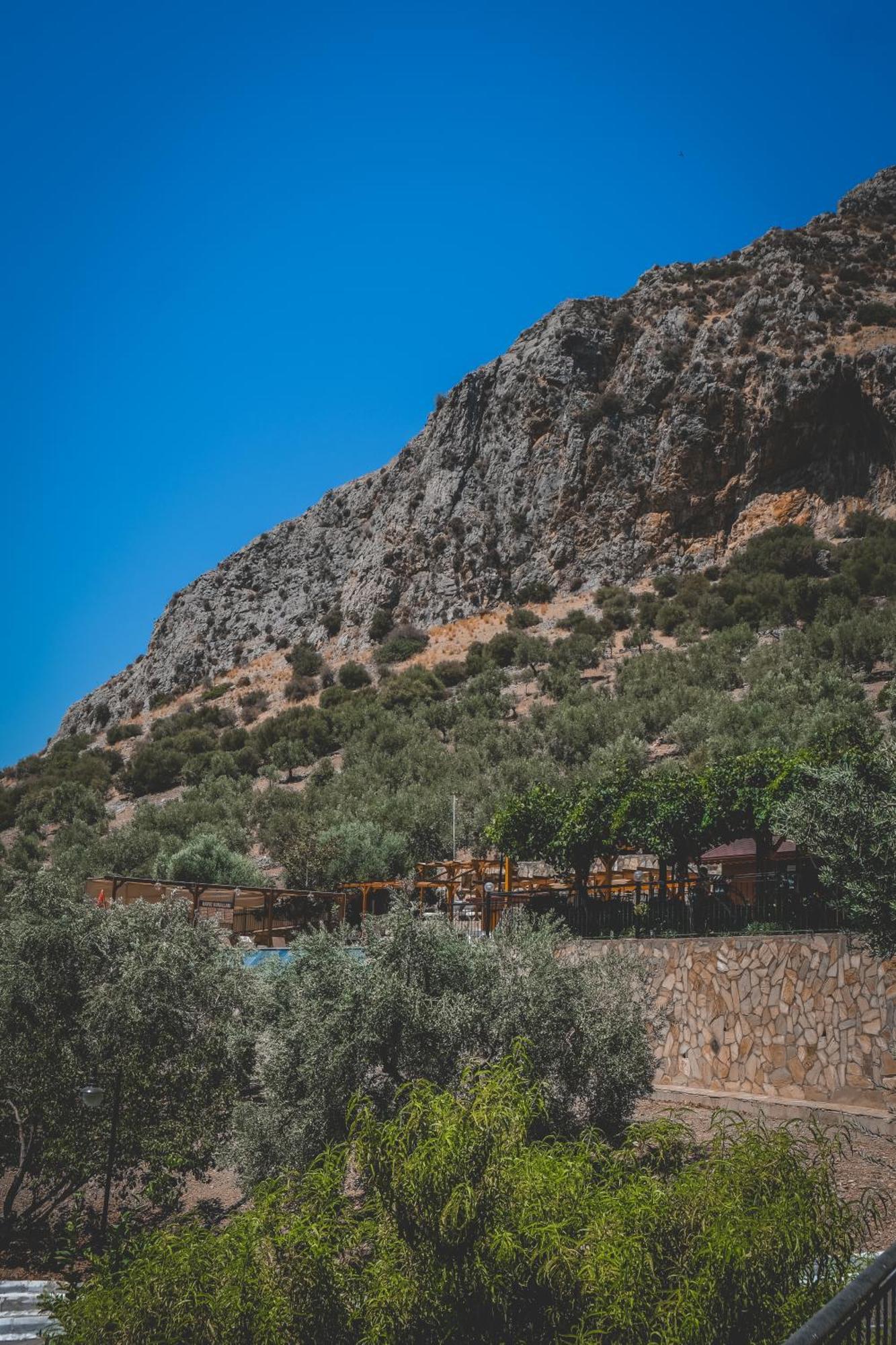 Natureland Efes Pension Selçuk Esterno foto