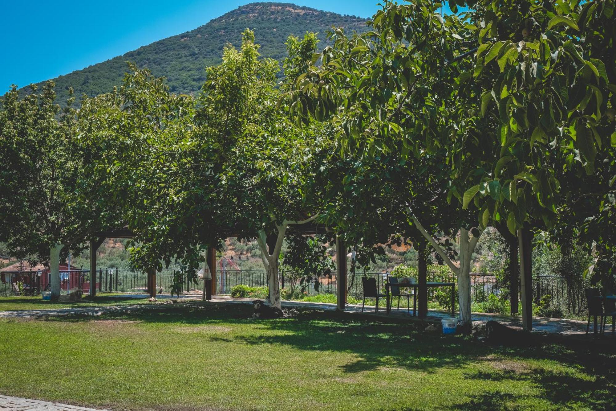 Natureland Efes Pension Selçuk Esterno foto