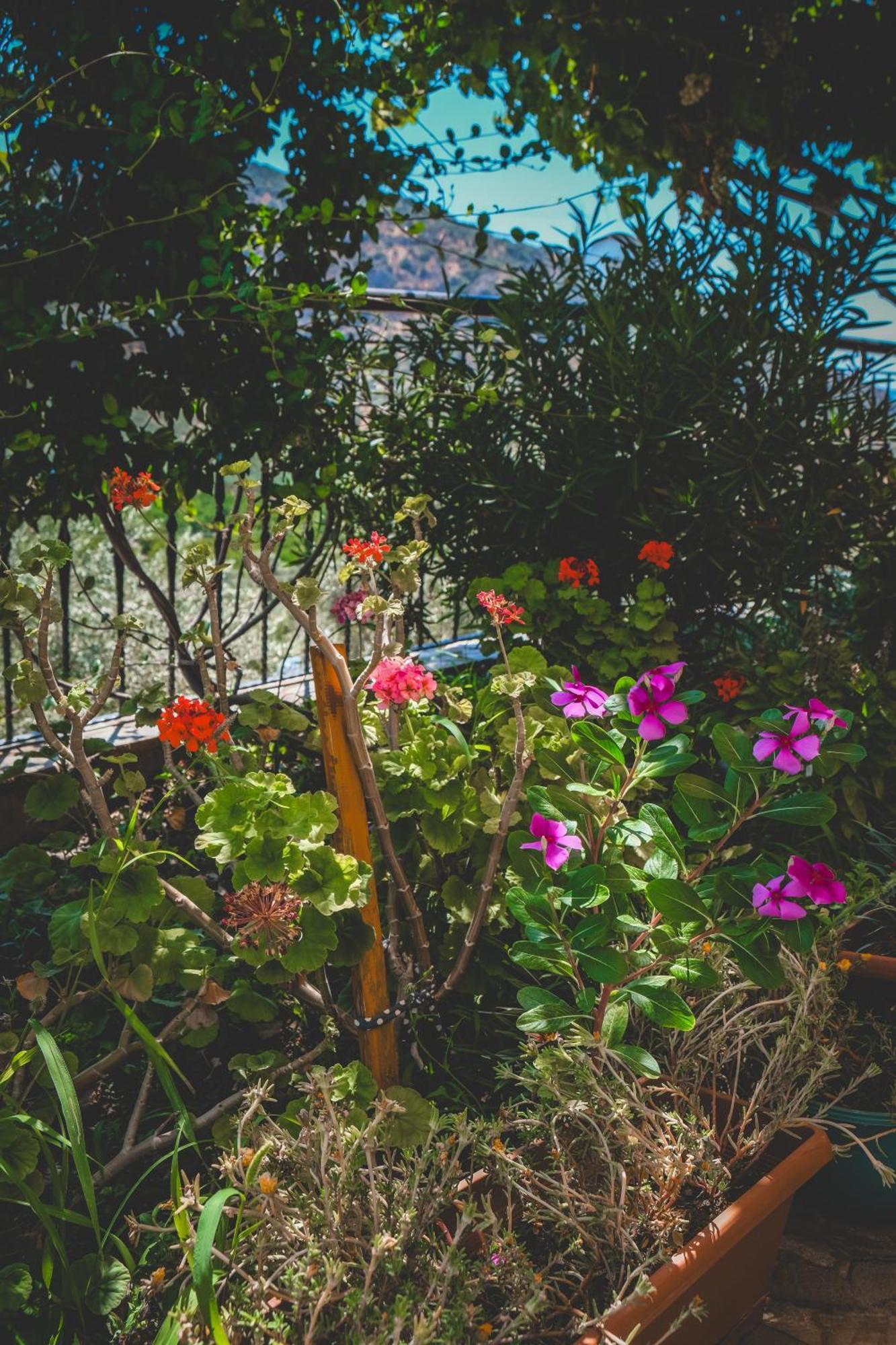 Natureland Efes Pension Selçuk Esterno foto