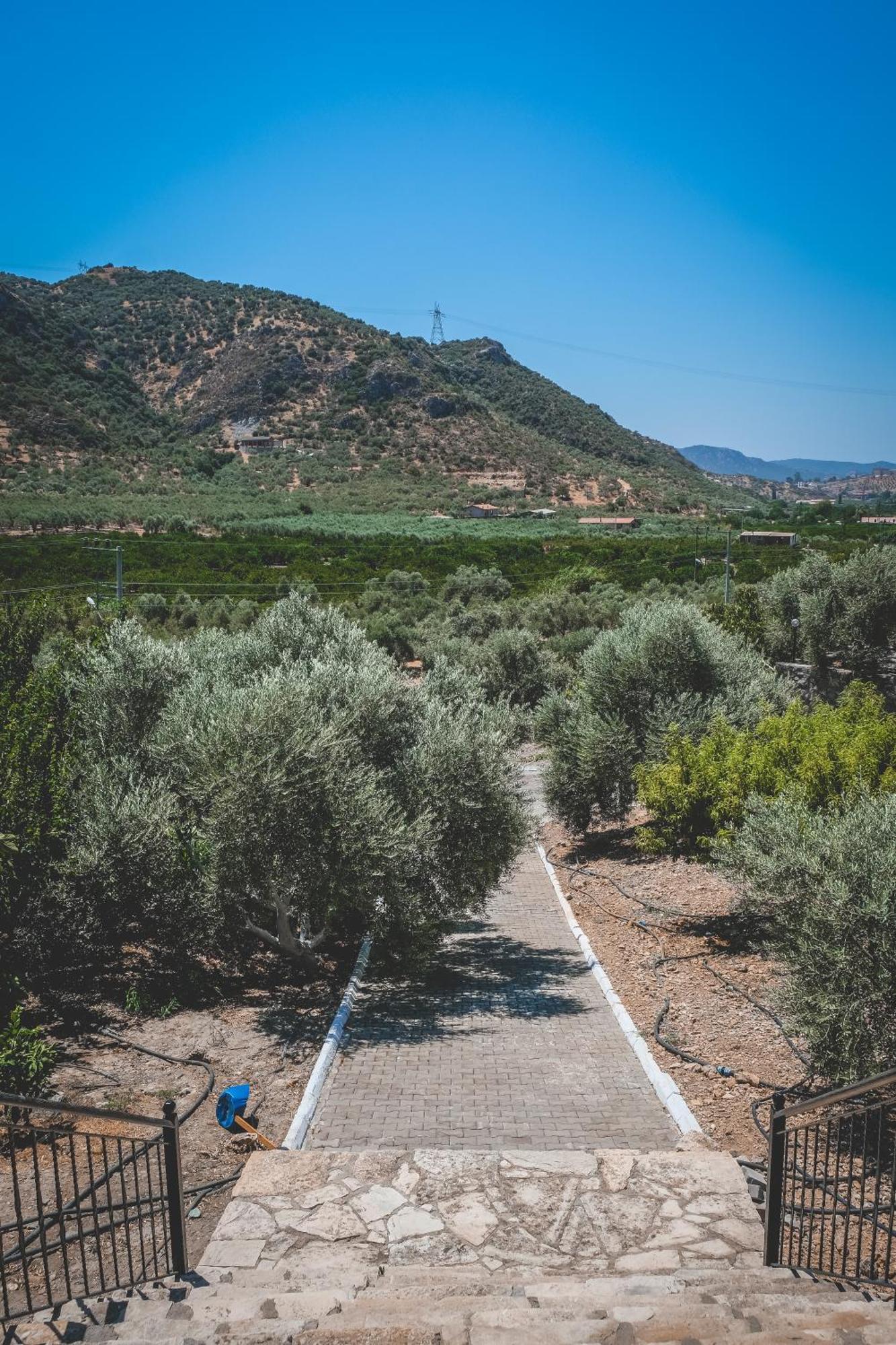 Natureland Efes Pension Selçuk Esterno foto