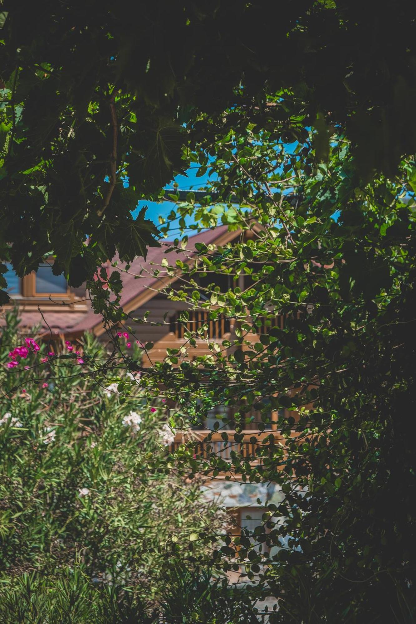 Natureland Efes Pension Selçuk Esterno foto