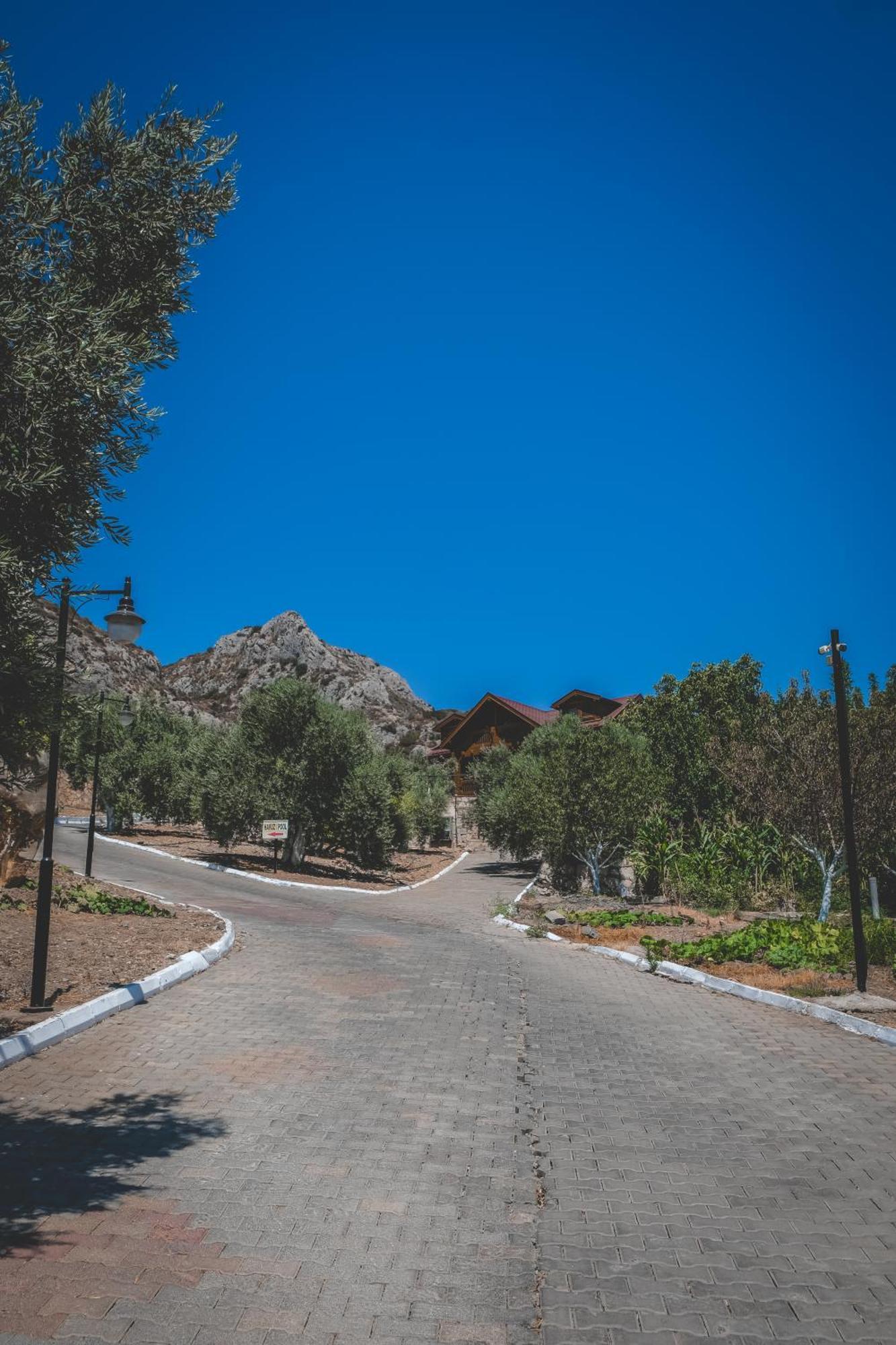 Natureland Efes Pension Selçuk Esterno foto